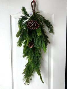 a pine cone and evergreen wreath hangs on the front door