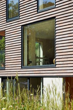 a wooden building with lots of windows next to tall grass