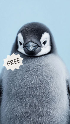 a penguin with a free sign on it's head sitting in front of a blue background