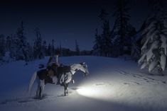 a woman riding on the back of a white horse in snow covered forest at night