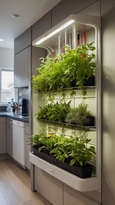 an indoor herb garden is displayed in the kitchen