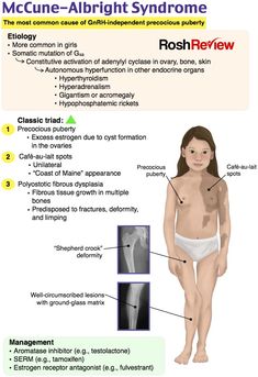 a diagram showing the different types of human body parts