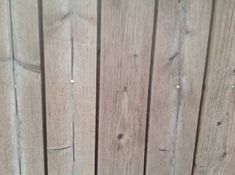 an orange and white cat sitting on top of a wooden fence