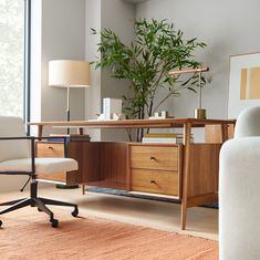 an office with a desk, chair and potted plant