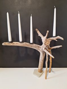 a group of white candles sitting on top of a wooden branch