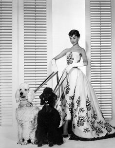 a woman in a dress standing next to two dogs