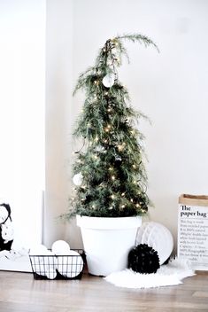 a small christmas tree sitting next to a potted plant on top of a wooden floor