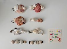 several seashells are arranged on a white surface next to a greeting card that reads high school