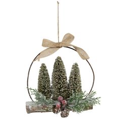 a christmas ornament with pine cones and evergreens hanging from it's side