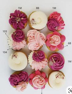 cupcakes with pink and purple frosting are arranged on a white background, labeled in the top half