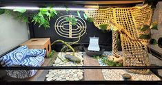 a display case filled with plants and rocks