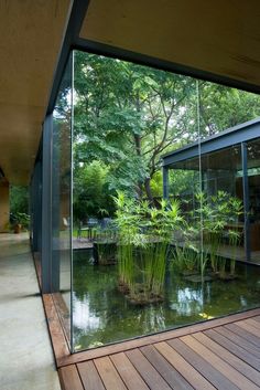 the inside of a house with glass walls and plants on the outside wall, along with wooden flooring