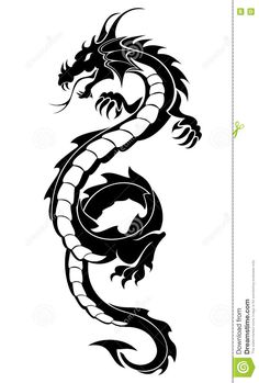 a black and white dragon tattoo design