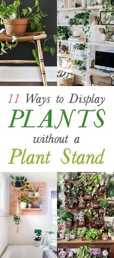 some plants that are in pots and on shelves with the words 11 ways to display plants without