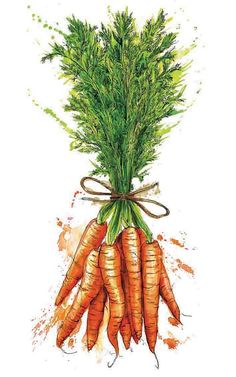 a bunch of carrots tied up with a bow