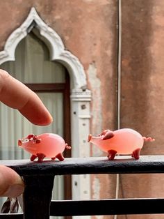 two small pink pigs sitting on top of a black table next to each other in front of a window