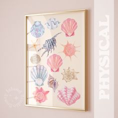 there are many seashells in the frame on the wall next to the door