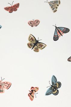 many different colored butterflies flying in the air on a white background with blue and pink accents