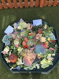 a plastic container filled with lots of different types of plants and bugs on top of it