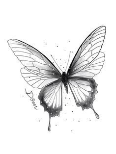 a black and white drawing of a butterfly with water drops on it's wings