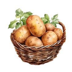 a basket filled with potatoes sitting on top of a table