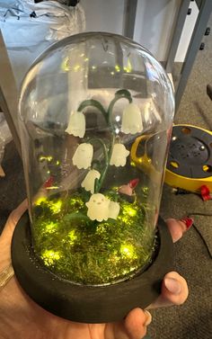 a hand holding a glass bowl filled with plants