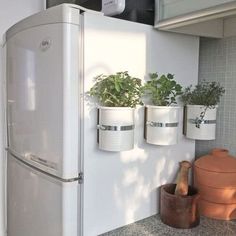 a white refrigerator freezer sitting next to a potted plant on top of a counter