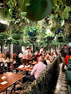 people sitting at tables in a restaurant with plants hanging from the ceiling and potted plants on the walls