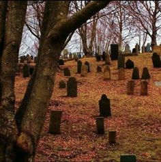 an old cemetery with many headstones and trees