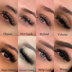 Different Styles Of Eyelash Extensions, Different Lashes Styles, Types Of Eyelash Extensions Styles Wispy, Different Kinds Of Lash Extensions, Lashes Extensions Ideas, Different Eyelash Styles, Lash Extention Chart, Eyelash Styles Chart, Different Lash Sets