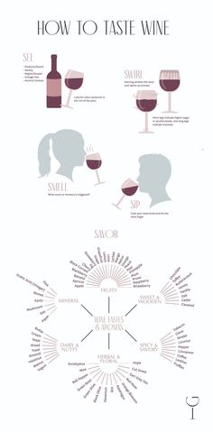 See, Swirl, Smell, Sip and Savor - the Five S's of Wine Tasting - Infographic Wine Tasting Card, Wine Infographic, Chopped Fruit, Wine Basics, How To Make Sangria, Wine 101