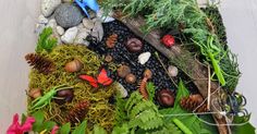 an assortment of plants and rocks in a garden bed with grass, pine cones, flowers, and butterflies