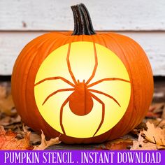 a pumpkin with a spider drawn on it