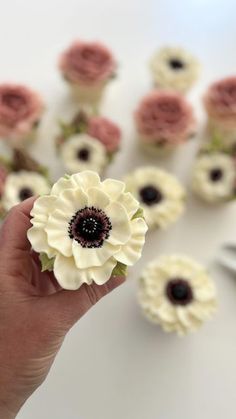 a person holding a flower in front of some small white and pink flowers on a table