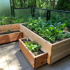 several wooden planters with plants growing in them