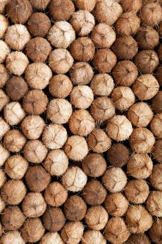 many coconuts are stacked on top of each other