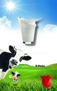 a cow standing on top of a lush green field next to a glass of milk