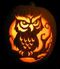 an owl carved into a pumpkin in the dark