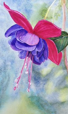 a painting of a purple and red flower on a branch with water droplets hanging from it's petals