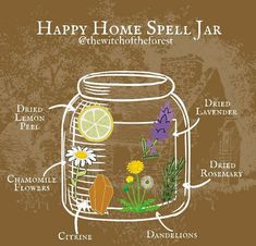 Family Spell Jar, Creativity Spell Jar Recipes, Spell Jar Herbs, Spell Jar Herb Meanings, Spell Jar For Abundance, Popularity Spell Jar, Cer Nocturn, Spell Bottles