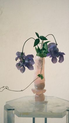 a vase with purple flowers sitting on top of a table