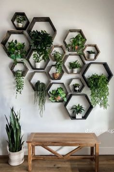 a wooden bench sitting next to a wall mounted planter filled with potted plants