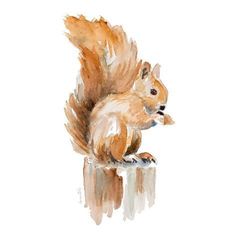 a watercolor painting of a squirrel sitting on top of a piece of wood with its tail up