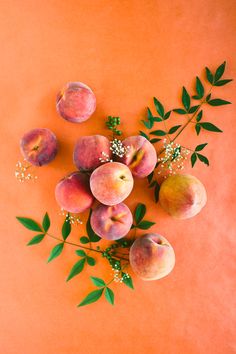 peaches and flowers on an orange background