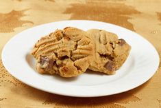 two chocolate chip cookies on a white plate