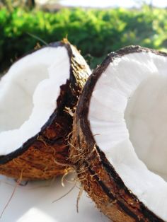 two coconuts cut in half sitting on a white surface with trees in the background