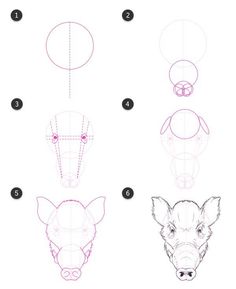 how to draw a pig's head step by step drawing instructions for kids and beginners