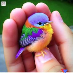 a small colorful bird sitting on top of someone's finger in the palm of their hand