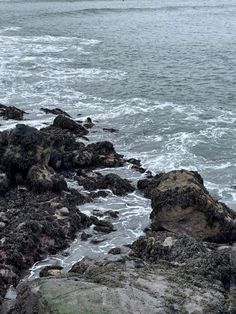 Gloomy and dark atmosphere, the photo is of a rocky shore with waves crashing against the rocks. Ocean Shore Aesthetic, The North Sea, Asoiaf Locations, Daylight Rings, Scottish Coast, Sea Hag, Devils Advocate, Rocky Island, Environment Photo