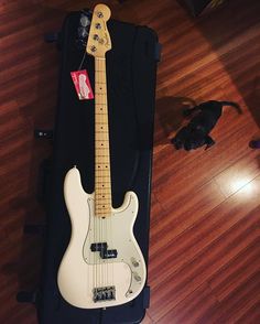 a white electric guitar sitting on top of a hard case next to a black dog